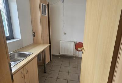 Spatiu comercial Sos Chitilei - 15