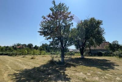 Casa cu teren De Vanzare in Ariesul de Padure - 8