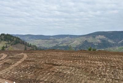 Teren de 1819 mp, în Horea - 7