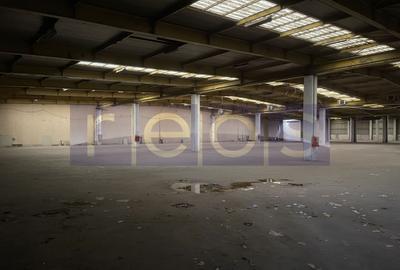Spațiu industrial, de 19,300 mp, în Odăi - 19