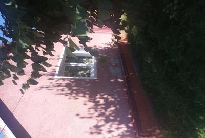 Casă cu 2 camere în Odvoș - 1