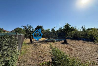 Caslita - teren 513 mp, pomi fructiferi, casa 2 camere - 2