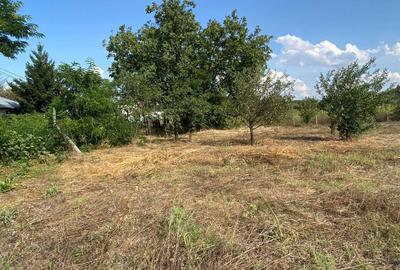 Spațiu comercial, în Petrești - 6