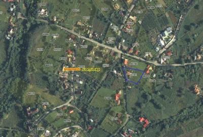 Casă cu 3 camere cu Teren 1481 Mp în Mogoșești - 5