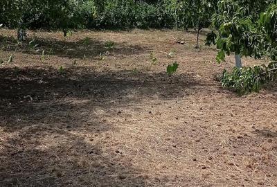 Casă cu 4 camere cu Teren 1890 Mp în Orbeni - 3