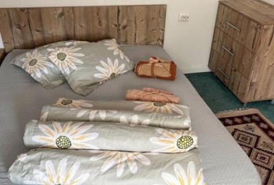 Cabana cu 4 dormitoare, foisor, ciubar, Statiunea Muntele Ba - 23