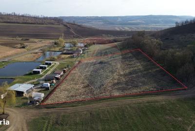 Spațiu comercial, în Laslea - 5