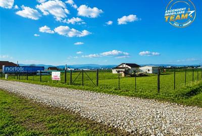 Teren Construcții intravilan de 2498 mp, în Chilieni - 18