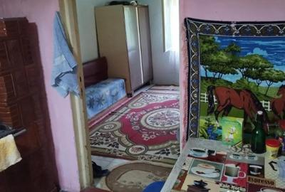 Casă cu 2 camere cu Teren 7500 Mp în Valea Roșie - 3