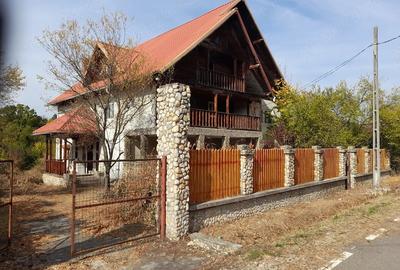 Casă cu 6 camere cu Teren 2600 Mp în Vedea