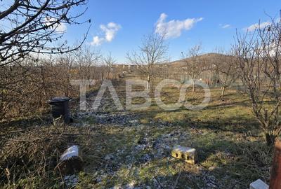 Casa individuala de vanzare 4 camere si curte 1310 mp Gusterita - 4