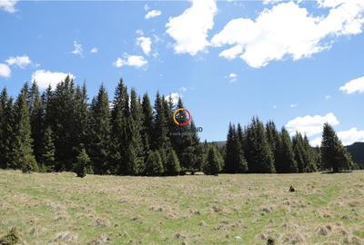 Terenuri speciale Padina Busteni, sunt dispuse ca o veritabila coroana in jurul - 10