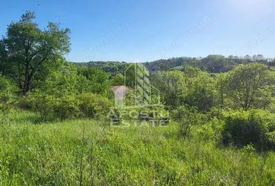 Teren intravilan, In Rate Cuied Arad - 3