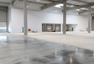 Hala noua, 7014mp, de vanzare, in Biharia, la 3km de autostrada - 10