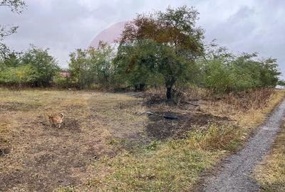 Teren intravilan 1700 mp de vanzare Polcesti  Strada Crangului - 8