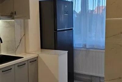 Apartament 2 camere 55 mp, etajul 2, zona Calea Bucuresti - 5