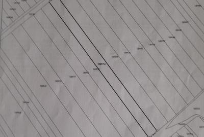 Teren Construcții intravilan de 4600 mp, în Central - 3