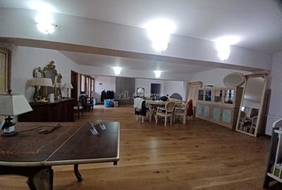 Hala 1500 mp - Otopeni Therme - 3