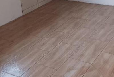 Chelinta, casa caramida, 1,2 ha teren - 10