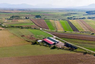 FILM! 18.000 mp,extravilan,agricol constructii, recomandat:f - 1