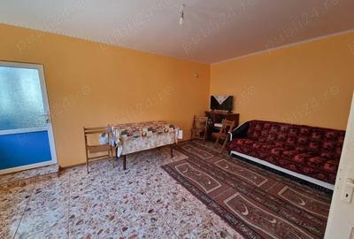 Casa de vanzare si teren, Jud.Braila, Comuna VIZIRU - 4