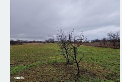 Teren Construcții intravilan de 4600 mp, în Gepiu - 4