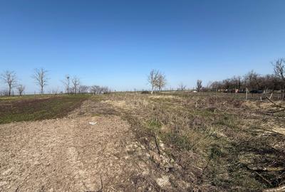 Spațiu comercial, în Cerna - 6