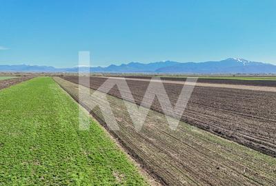 Vanzare teren extravilan agricol Halchiu 15000mp - 10