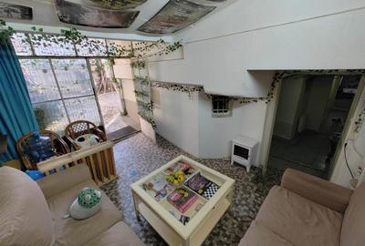 Apartament cu 5 camere decomandat în Grădina Icoanei - 7