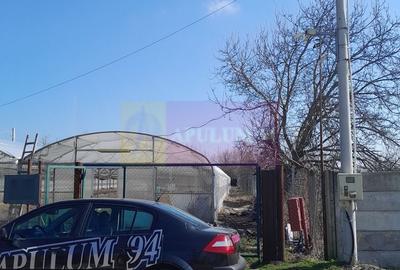 Teren Construcții intravilan de 3144 mp, în Roșiori - 2