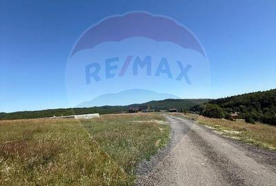 Teren 3,757mp Paltinoasa / Strada principala - 4