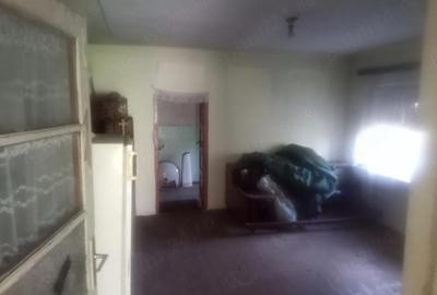 Casă cu 3 camere cu Teren 3343 Mp în Mănerău - 4