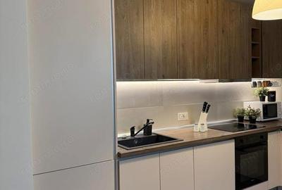 Apt zona Kaufland, Dumbravita - 2