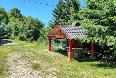 Casă individuală cu 7 camere cu Teren 725 Mp în Drumul Carului - 47