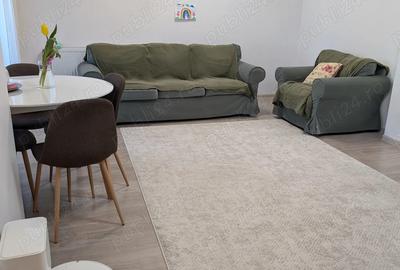 Apartament cu 3 camere decomandat în Ozana - 8