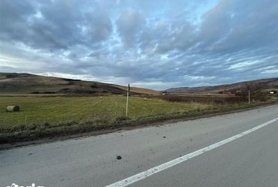 Teren de 6000 mp, în Cojocna - 4