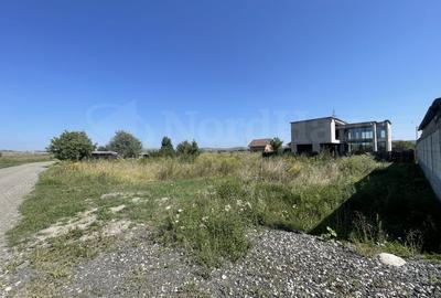 Teren Construcții intravilan de 500 mp, în Veterani - 4