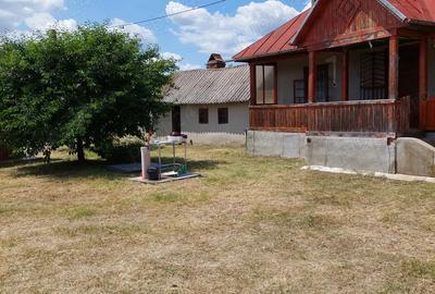 Vand casa cu livada in satul Ionesti Arges - 5
