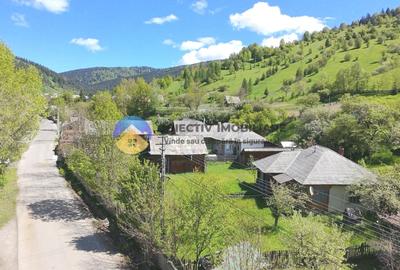 CASA traditionala BICAZU ARDELEAN + teren extravilan 1,6 hectare - 5