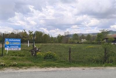 Teren Construcții intravilan de 19209 mp, în Crasna - 5