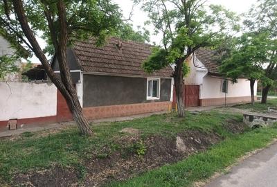 Casă individuală cu 3 camere cu Teren 543 Mp în Becicherecu Mic - 2