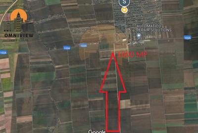 Parcele Intravilane de 1000 mp în Săcele, Brașov: Cartier Izvor - 2
