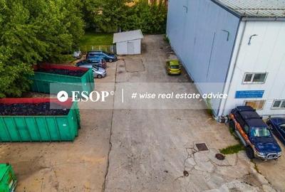 Hala de vanzare Dudesti-Pantelimon Hala de vanzare Dudesti-Pantelimon - 5