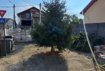 Casa pe col? cu teren 396 m2 ?i proiect de mansardare (reinnoibil) Casa pe col? cu teren 396 m2 ?i proiect de mansardare (reinnoibil) - 1