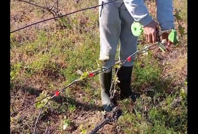 Teren de 2700 mp, în Fântânele - 3