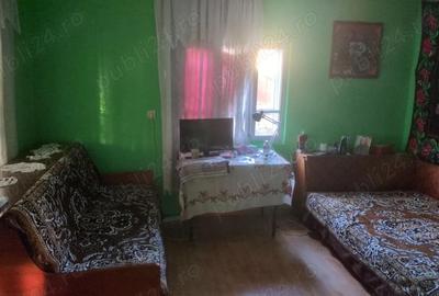 Casă cu Teren 5000 Mp în Roșia de Amaradia - 2