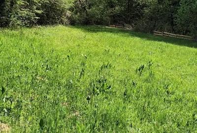 Teren de 2964 mp, în Gladna Montană