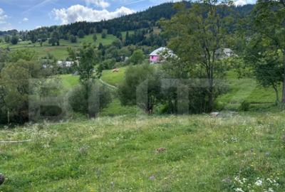 Teren de 1641 mp, în Gilău - 8