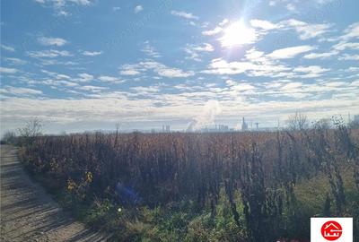 Teren intravilan 39 arii, posibil 7 parcele, strada graului, Nazna - 3