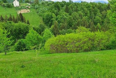 Teren extravilan sat pestera jud brasov - 4